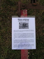 Rateau andaineur, rateau a cheval (30eme fete des moissons de Saint-Jean-de-Touslas) (txt)